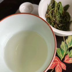 白茶 三富白茶2023 ほくめい(5g)