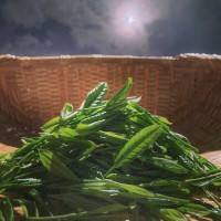 手積み茶