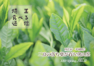 食べる通信 2019年春「所沢市・平岡園の落ち葉が育む狭山茶」